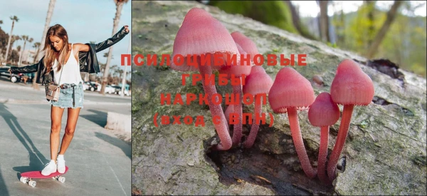 мескалин Алексин