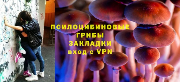 мескалин Алексин